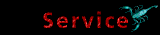 Service  Head