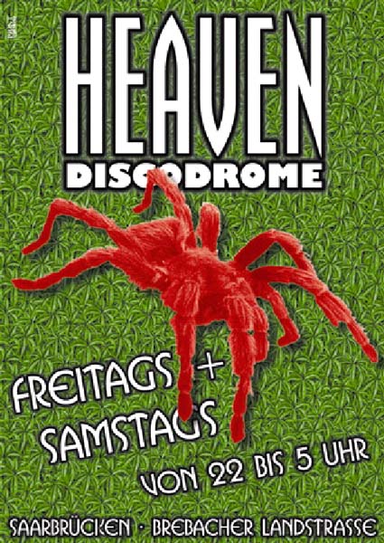 After Hour  Spinne