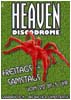 After Hour  Spinne